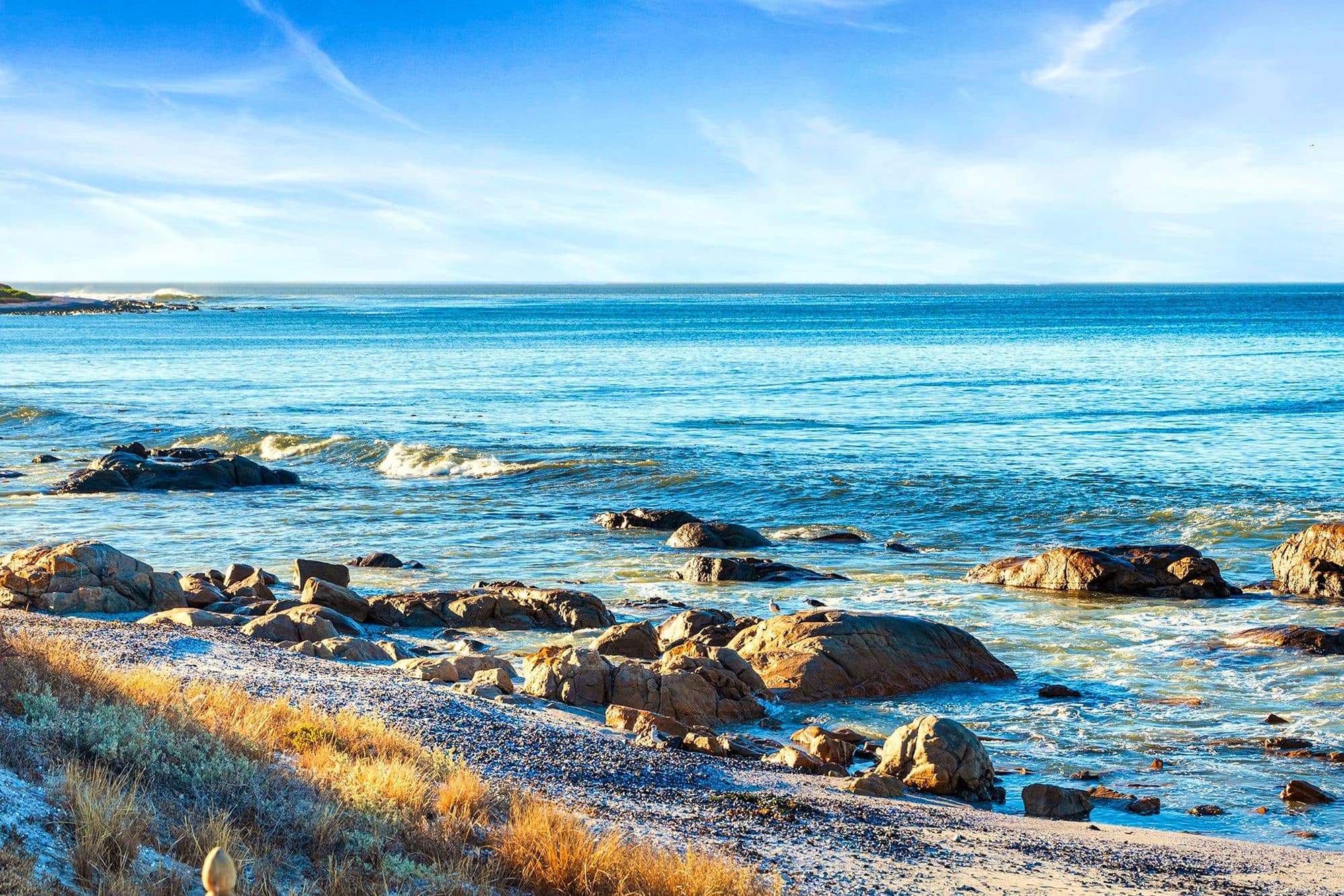 The rocky West Coast shoreline directly in front of Villa View